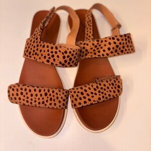 Cheetah Print Platform Sandals - Size 8 - Like New